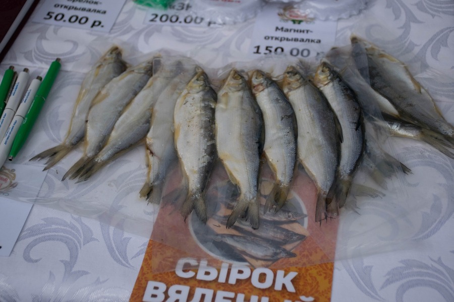 ���� ����� - 2023